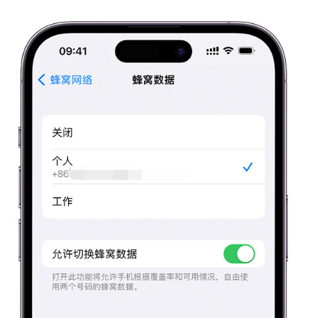 随州苹果维修服务分享如何在iPhone上使用双卡 